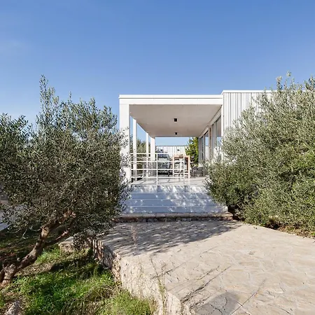 Pupsi Garden * Drage