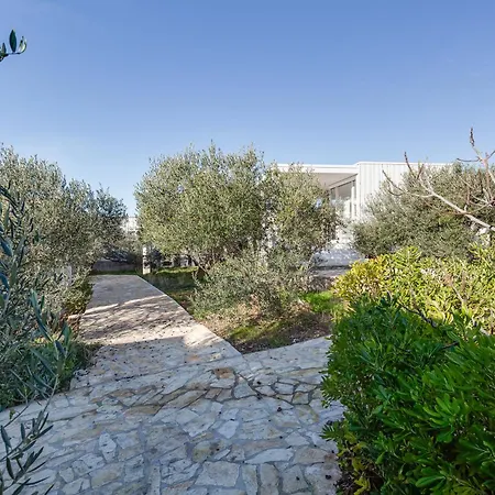 Pupsi Garden * Drage