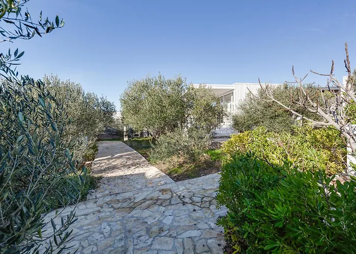 Pupsi Garden * Drage