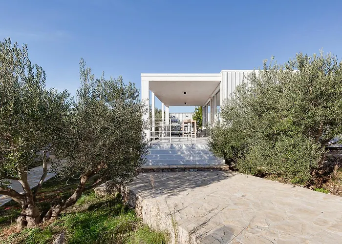 Pupsi Garden * Drage